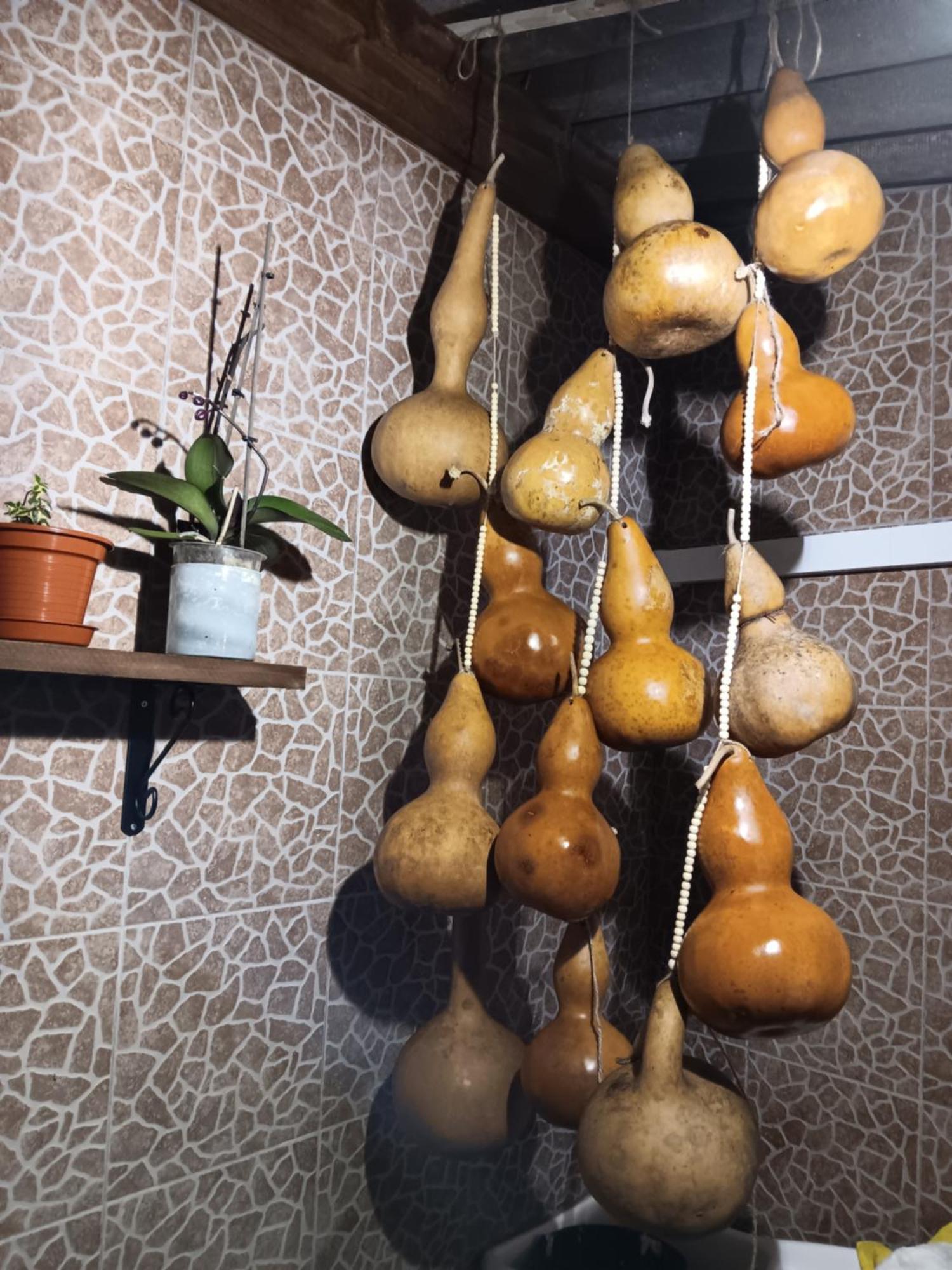 Casa Da Rosarinha Βίλα Água de Alto Εξωτερικό φωτογραφία