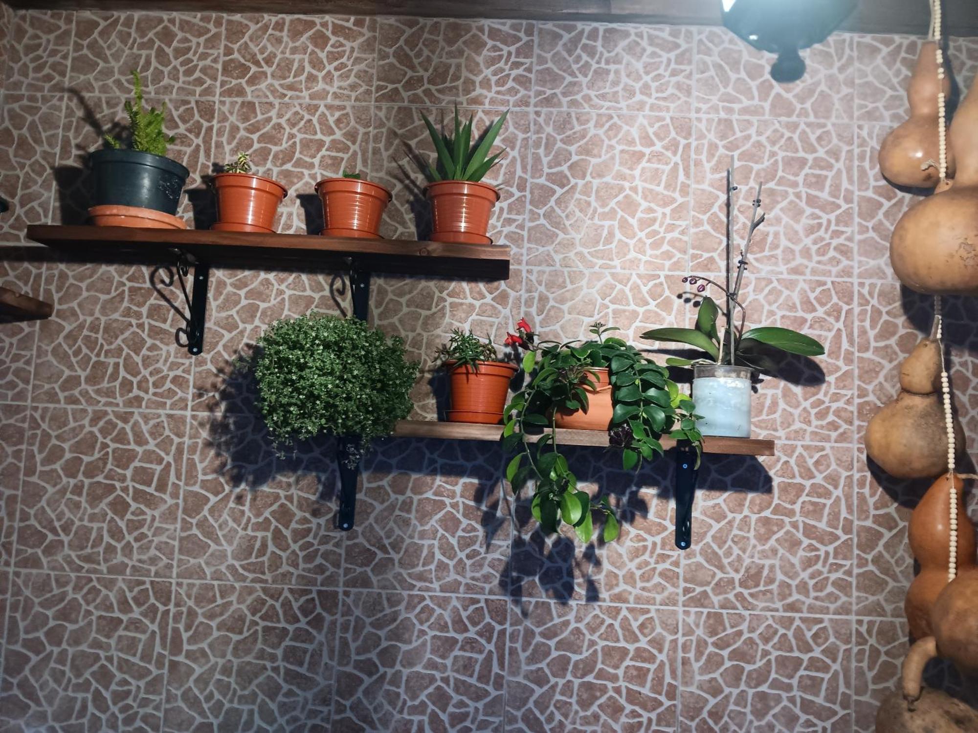 Casa Da Rosarinha Βίλα Água de Alto Εξωτερικό φωτογραφία